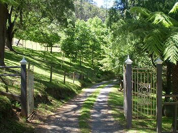 Brentwood Accommodation - Accommodation Mermaid Beach 1