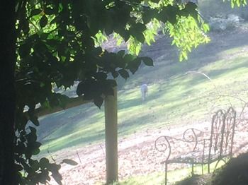 Brentwood Accommodation - Accommodation Mermaid Beach 35