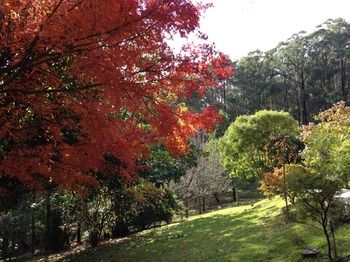 Brentwood Accommodation - Accommodation Mermaid Beach 43