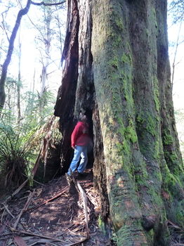 Brentwood Accommodation - Accommodation Mermaid Beach 56