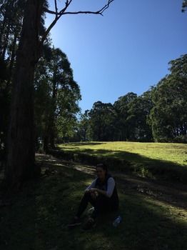 Brentwood Accommodation - Accommodation Mermaid Beach 58