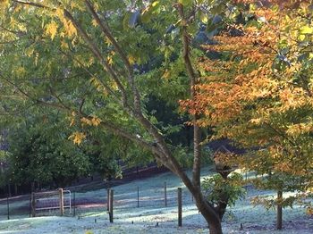 Brentwood Accommodation - Accommodation Mermaid Beach 64