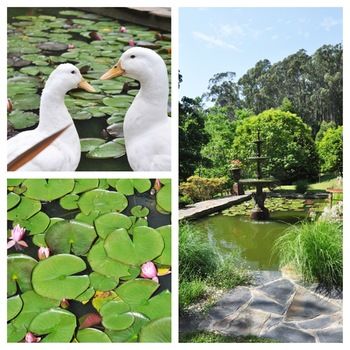 Brentwood Accommodation - Accommodation Mermaid Beach 65