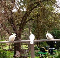 Australian Home Away  Wonga Park Brushy Creek - Accommodation Mermaid Beach