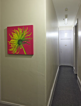 The George Street Hotel - Hostel - Accommodation Mermaid Beach 13