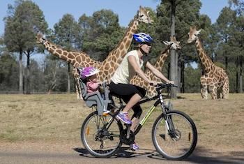 Zoofari Lodge, Taronga Western Plains Zoo - Accommodation Mermaid Beach 7