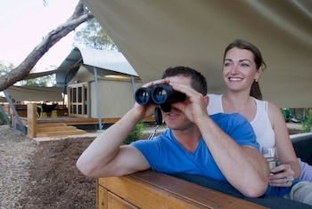 Zoofari Lodge, Taronga Western Plains Zoo - Accommodation Mermaid Beach 12