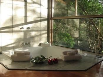 Belle's At Montville - Accommodation Mermaid Beach 13