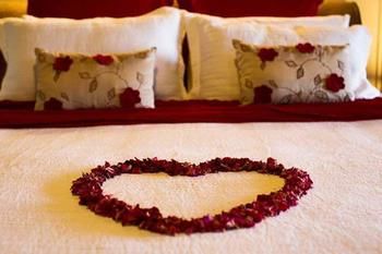 Montville Misty View Cottages - Accommodation Mermaid Beach 10