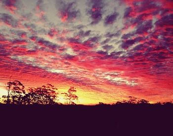 The Spotted Chook - Accommodation Mermaid Beach 15