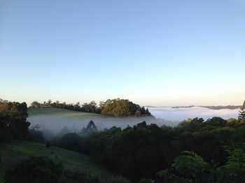 The Spotted Chook - Accommodation Mermaid Beach 16