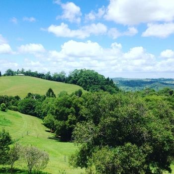 The Spotted Chook - Accommodation Mermaid Beach 23