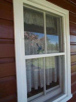 Aaron Cottage - Accommodation Mermaid Beach 1