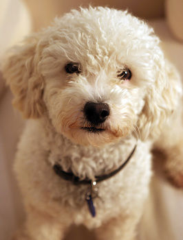 Aaron Cottage - Accommodation Mermaid Beach 10