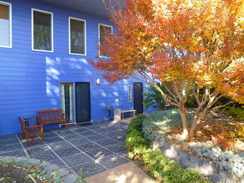 The Retreat At Froog-Moore Park - Accommodation Mermaid Beach 1