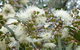 The Retreat At Froog-Moore Park - thumb 51