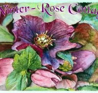 A Winter-rose Cottage BampB - Accommodation Mermaid Beach