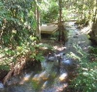 Treetops Accommodation Montville - Accommodation Mermaid Beach