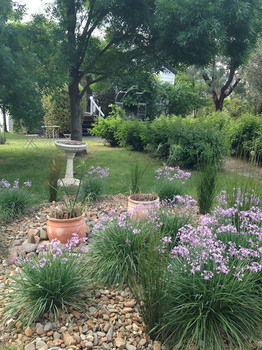 Yarraglen BnB - Accommodation Mermaid Beach 19