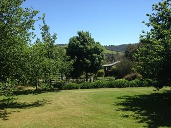 Yarraglen BnB - Accommodation Mermaid Beach 27