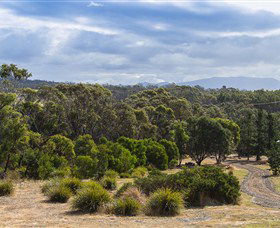Catherine Lodge Farm Gate Cottages - Accommodation Mermaid Beach 1