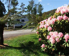 Zeehan Bush Camp  And Caravan Park - Accommodation Mermaid Beach 0