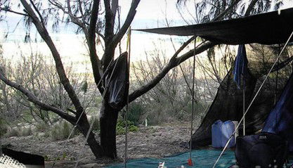 Main Beach Foreshore Camping Grounds - Accommodation Mermaid Beach 0