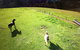 Farm Accommodation - thumb 4