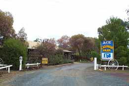 Ace Caravan Park - Accommodation Mermaid Beach 0