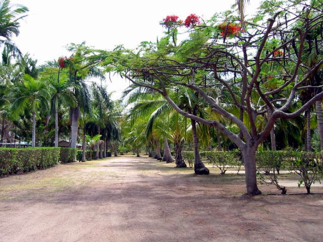 Alva QLD Accommodation Mermaid Beach