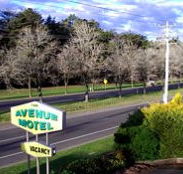 Avenue Motel - Accommodation Mermaid Beach
