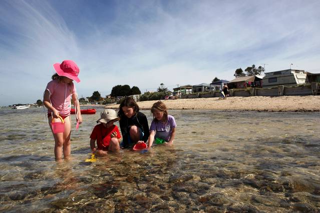 Indented Head VIC Accommodation Mermaid Beach