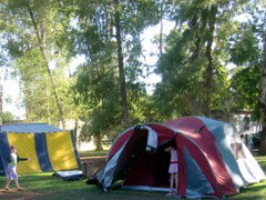 BIG4 Forbes Holiday Park - Accommodation Mermaid Beach 2