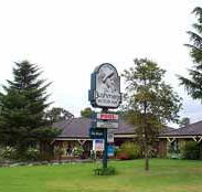 Bushmans Comfort Inn - Accommodation Mermaid Beach