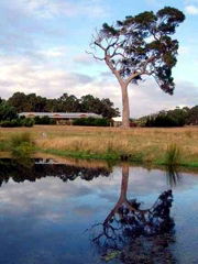 Craythorne Country House Metricup - Accommodation Mermaid Beach 4