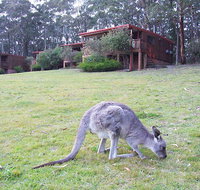 Jenolan Caves Cottages - Accommodation Mermaid Beach
