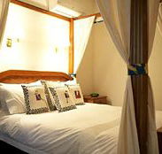 Lazy River Boutique Bed and Breakfast - Accommodation Mermaid Beach