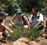 Nitmiluk Tours  Accommodation - Accommodation Mermaid Beach