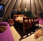 Aranyani Bison Adventure Tourist Park - Accommodation Mermaid Beach