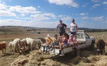 Barcoos Farmstays Bathurst - Accommodation Mermaid Beach 1