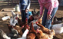 Barcoos Farmstays Bathurst - Accommodation Mermaid Beach 5