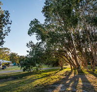Delicate campground - Accommodation Mermaid Beach