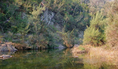 Doon Goonge Campground - Accommodation Mermaid Beach 1
