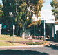 Tamwell Motel - Accommodation Mermaid Beach