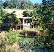 Walkabout Holiday House - Accommodation Mermaid Beach