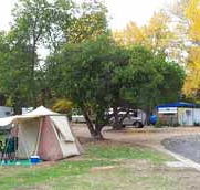 Wedderburn Pioneer Caravan Park - Accommodation Mermaid Beach