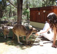 Yelverton Brook Eco Spa Retreat and Conservation Sanctuary - Accommodation Mermaid Beach