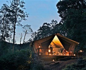 Nightfall Wilderness Camp - Accommodation Mermaid Beach 0