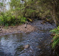 Horse Swamp campground - Accommodation Mermaid Beach