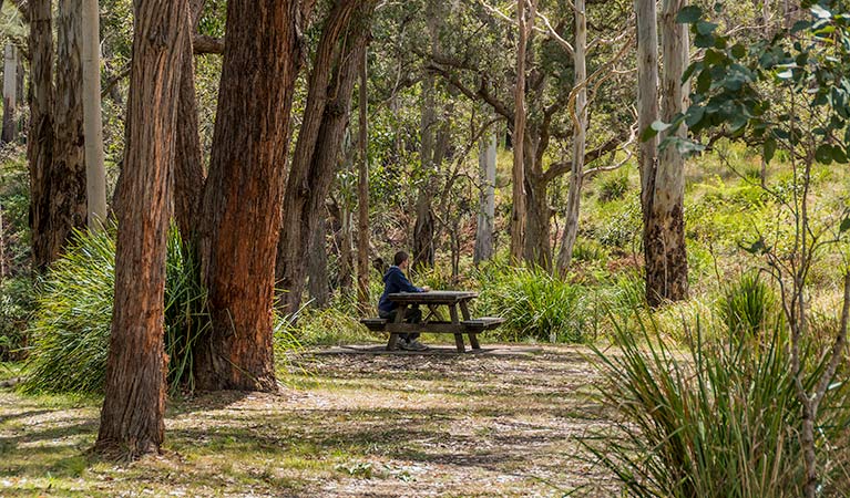 Acacia Creek ACT Accommodation Mermaid Beach